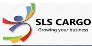 Angajam Soferi Profesionisti B+C+E