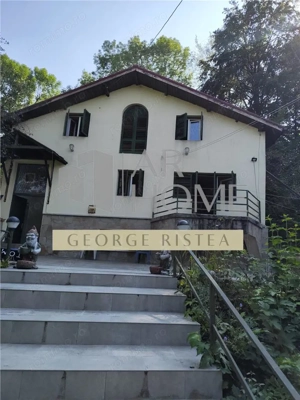 Vila superba 7 camere, Provita de Jos, 22.000 mp teren