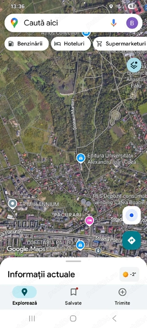 teren copou -gradina botanoca - imagine 2