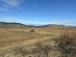 Teren agricol de vînzare - imagine 5