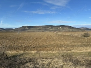 Teren agricol de vînzare - imagine 4