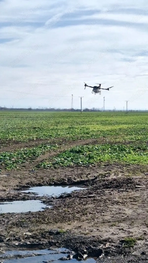 Tratamente fitosanitare cu dronă agricolă  - imagine 2