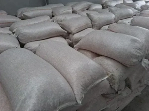 Vand Porumb Netratat.Galati.recolta 2025