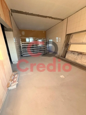 Inchiriez spatiu productie alimentara/BRUTARIE Sacalaz - imagine 11