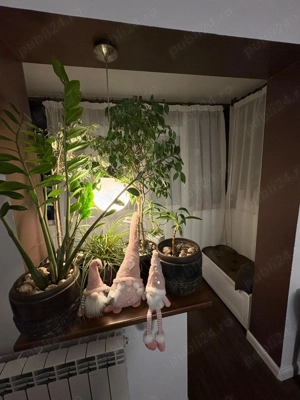 Apartament 2 camere Km 4-5 - imagine 4