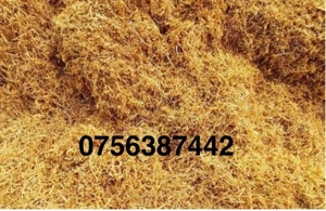 Firicel belgia 0.1 galben 