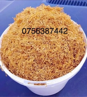 Firicel belgia 0.1 - imagine 2