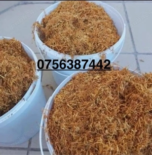 Firicel belgia 0.1 galben galben