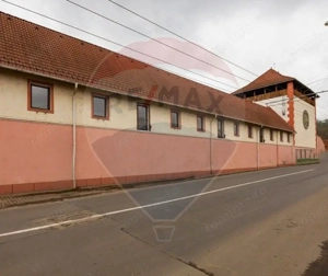 Fabrica de preparate si conserve din carne  la Medias - imagine 5