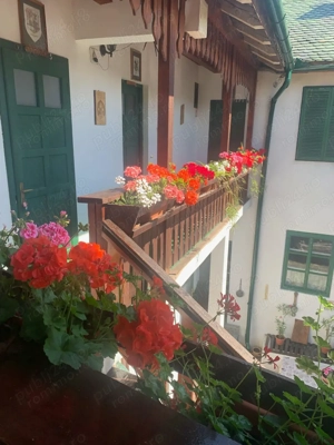 Cladire cu Arhitectura Traditionala - 691 mp - Ultracentral Oradea - imagine 12