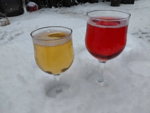 Carne la garnita,vin alb si rose! - imagine 4