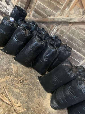 Vand rumegus brad - imagine 2