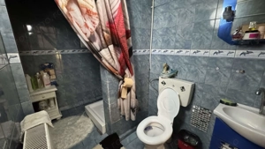 Vila P+M, Sc = 135 mp, Teren = 1072 mp, zona centrala   str. Salcamului - imagine 19