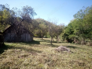 Vând Casă Hălmagiu Sat Tisa - imagine 3