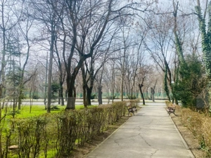 Apartament 2 camere, 32 mp, zona Centru - imagine 5