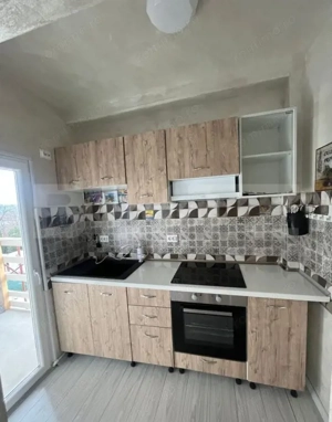 APARTAMENT O CAMERA CIUREA  - imagine 2