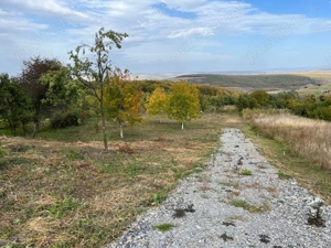 Teren intravilan, sat Gheorghieni, Principala 72, 3744 mp, front 28,70