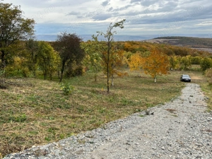 Teren intravilan, sat Gheorghieni, Principala 72, 3744 mp, front 28,70 - imagine 5