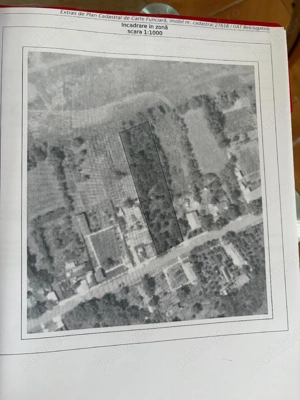 vând teren intravilan in sat Cojești comuna Belciugatele  - imagine 3