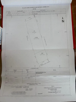 vând teren intravilan in sat Cojești comuna Belciugatele  - imagine 2