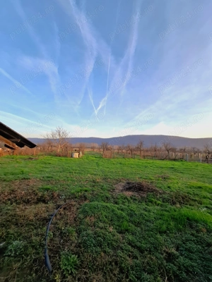 Teren 4.443 mp(intr+extra)+constructii vechi   Nicolae Bălcescu,  Pleșoiu jud Valcea 