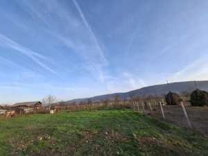 Teren 4.443 mp(intr+extra)+constructii vechi   Nicolae Bălcescu,  Pleșoiu jud Valcea 