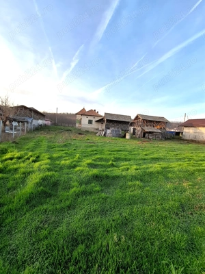 Teren 4.443 mp(intr+extra)+constructii vechi   Nicolae Bălcescu,  Pleșoiu jud Valcea  - imagine 12