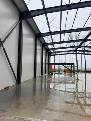 7 hale noi 2026 Afumati- Petrachioaia