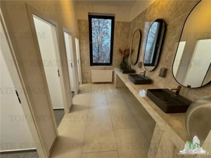 Spatiu office de inchiriat in zona  Parcului  Carol   Sector 4 - imagine 7