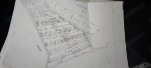 Teren de Vânzare lângă Lacul Cernica