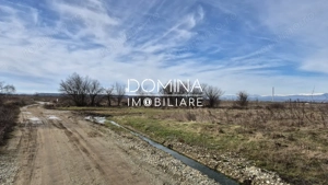 Vânzare teren - la 6 km de Tg. Jiu - situat în Sat Bucureasa, Comuna Dănești - imagine 3