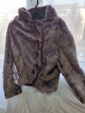 Blăniță mov - cenusiu - imagine 5