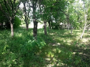 Vând teren intravilan mun. Ploiesti cu o suprafata totală de 1443 mp - imagine 4