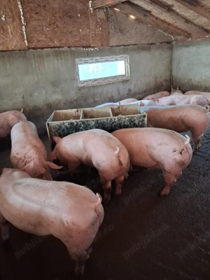 de vanzare - imagine 2