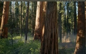 Matrimoniale   Gay Lesbi - editat - repostare automata x5. - lasati in WTFC