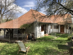 Casă rustică cu livadă în Zălan - imagine 2