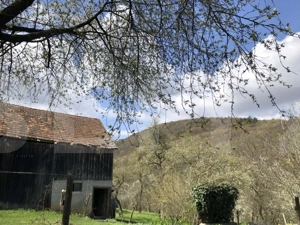 Casă rustică cu livadă în Zălan - imagine 3