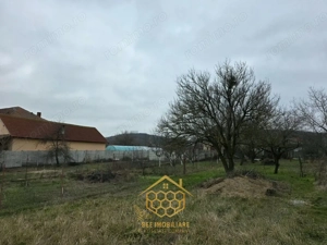 Teren 1.451 mp INTRAVILAN in Podari – Toate utilitatile - imagine 8
