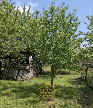 Teren 1.451 mp INTRAVILAN in Podari – Toate utilitatile - imagine 7