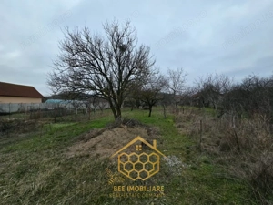 Teren 1.451 mp INTRAVILAN in Podari – Toate utilitatile - imagine 9