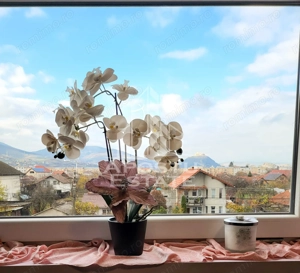 Apartament de lux, 3 camere, 2 niveluri, intr-un imobil tip vila, Deva - imagine 14