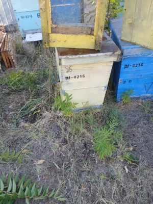 vand cuti stupi - imagine 4