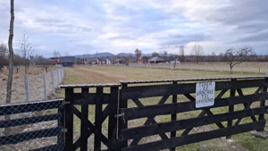 Teren Vanzare  - imagine 3