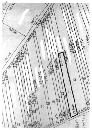 Teren de Vânzare lângă Lacul Cernica - imagine 2