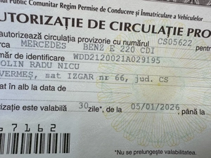 Vand cherestea dulapi ulm uscat natural