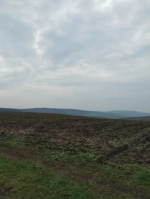 vand teren Horlești  - imagine 5