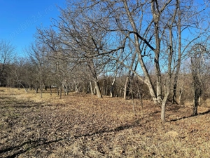 Teren de vânzare   ideal pentru construcție casă   investiție