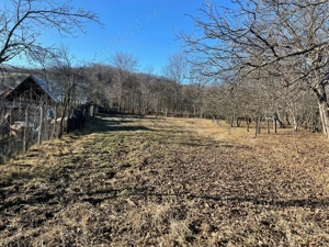 Teren de vânzare   ideal pentru construcție casă   investiție - imagine 3