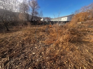 Teren + Clădire în Viișoara - imagine 5