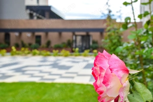 Apartament  premium 1 camera, Qualis 2, Coresi, priveliste spre Tampa - imagine 10